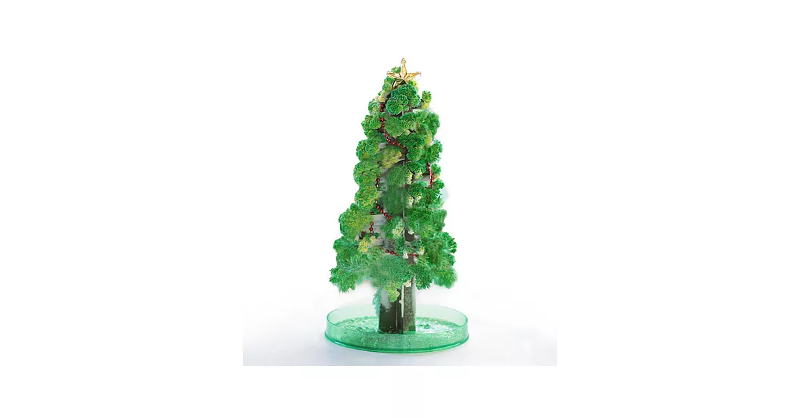 【賽先生科學工廠】紙樹開花啦!巨大聖誕樹-長青綠(新款)