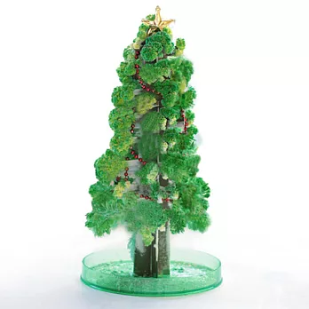 【賽先生科學工廠】紙樹開花啦！巨大聖誕樹-長青綠(新款)