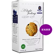 烘焙客-DiHaNi無蔗糖手工餅乾(藍莓燕麥、120g/盒) (奶蛋素)