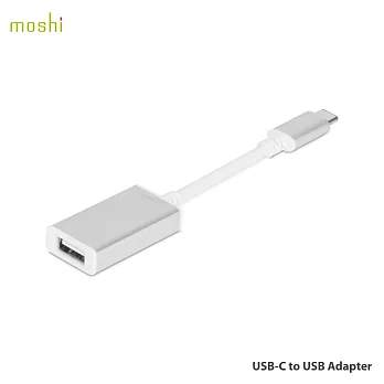 USB-C to USB 轉接線銀白