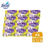 【驅塵氏】抗菌濕拖巾-檸檬潔淨配方(12張/包,12包/箱)~箱購