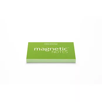 磁力便利貼 Magnetic Notes S-Size綠