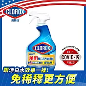 美國CLOROX 高樂氏萬用強力去汙清潔劑(清新香/946ml)