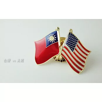 【國旗商品創意館】台灣、美國雙旗徽章10入組／中華民國／Taiwan／USA