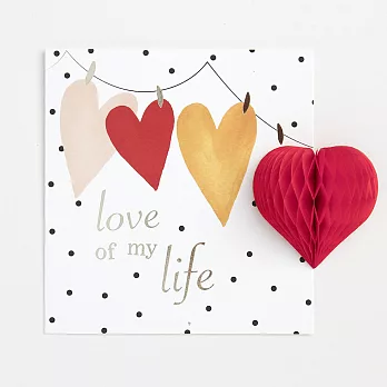【英國caroline gardner】Love Of My Life Card 萬用卡 3D 立體 情人節 PMM011