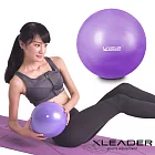 【Leader X】迷你多功能健身瑜珈球 韻律球 抗力球(20cm_紫色)