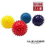 【Leader X】 深層筋絡紓壓 硬式刺蝟按摩球 筋膜球＿顏色隨機2入組