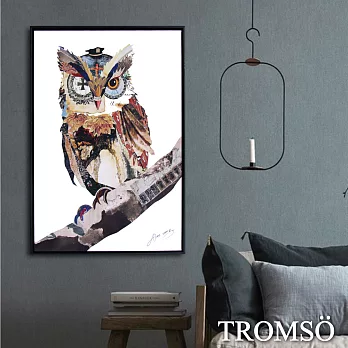 TROMSO北歐時代風尚有框畫-奇幻貓頭鷹40X60CM奇幻貓頭鷹