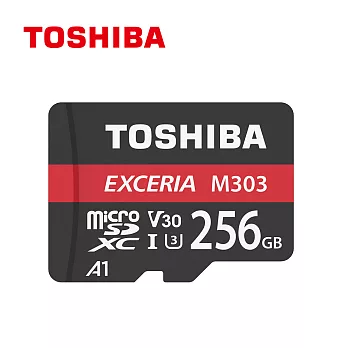 Toshiba 256GB Micro-SDXC UHS-I V30 A1 (U3) 記憶卡 原廠公司貨