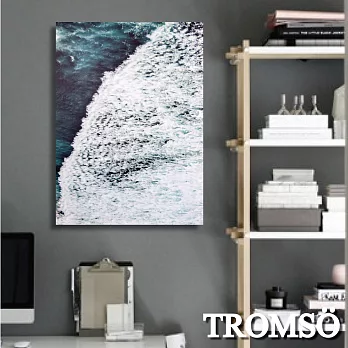 TROMSO時尚無框畫-藍海國度-W275