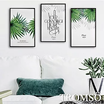 TROMSO北歐生活版畫有框畫-北歐綠葉WA63(三幅一組)
