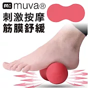 【muva】小紅帽舒筋花生球~筋膜舒緩必備!