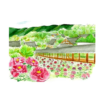 【AKASHIYA】大人的著色畫明信片 奈良的四季-夏天的長谷寺