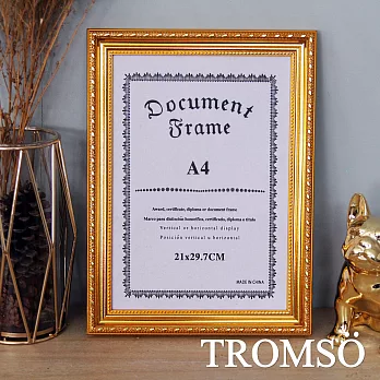 TROMSO極致榮耀A4相框-R款