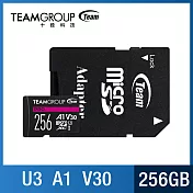 TEAM 十銓 PRO A1 V30 256GB SDXC UHS-I U3 V30 支援4K 記憶卡 (含轉卡+終身保固)