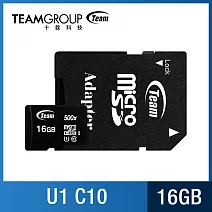 TEAM 十銓 500X 16GB MicroSD UHS-I 記憶卡 (含轉卡+終身保固)