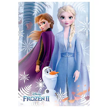 Frozen2冰雪奇緣2(1)拼圖300片