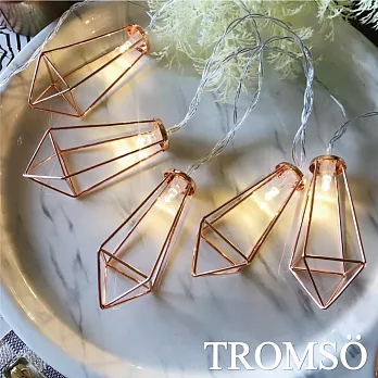 TROMSO-LED 10燈串-玫瑰金鑽石