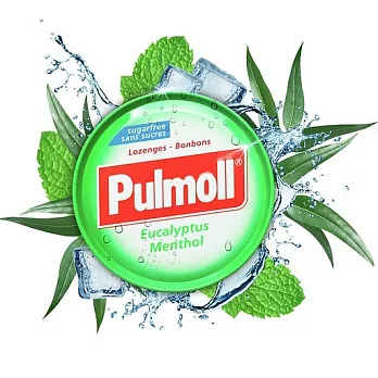 德國【Pulmoll寶潤】無糖潤喉糖-山茶尤加利(45公克/盒)