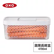 美國OXO 蔬果活性碳長鮮盒-4.7L 01040147