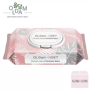 【韓國OLDAM】 韓國媽媽安心推薦 可沖濕式衛生紙  無味 有蓋 62抽 10包