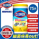 美國CLOROX 高樂氏居家殺菌濕紙巾 檸檬香/75片裝