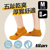 【titan】太肯 五趾舒壓生活踝襪(22-25cm)M土黃