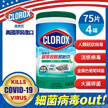 美國CLOROX 高樂氏居家殺菌濕紙巾 清新香75片x4入