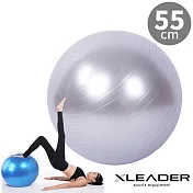 【Leader X】加厚防爆 核心肌群鍛鍊瑜珈球 抗力球 55cm 附贈充氣組 (灰色)