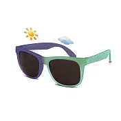 【RKS] 新閃耀變色框2-4太陽眼鏡/藍綠