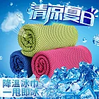 極凍涼感冰涼巾 冰巾 運動涼感毛巾 (2入組/80x30cm) 淺灰2入