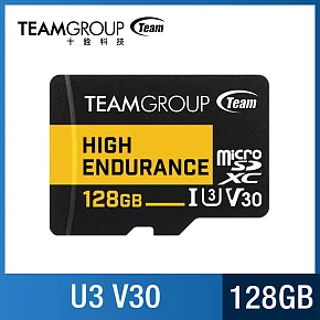 TEAM 十銓 High Endurance Micro SDXC UHS-I U3 V30 128GB 監控專用記憶卡