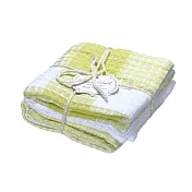 【日本Habituel】家居萬用擦拭純棉布巾3入組 ‧ 淺綠