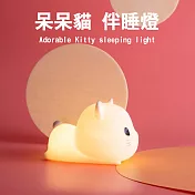呆呆喵 貓咪伴睡燈 拍拍夜燈 觸控燈 (USB充電)