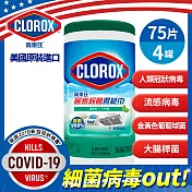 美國CLOROX 高樂氏居家殺菌濕紙巾(清新香/75片裝)(4入箱)