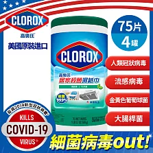 美國CLOROX 高樂氏居家殺菌濕紙巾(清新香/75片裝)(4入箱)