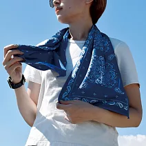 【日本Gendai Hyakka】抗UV罐裝涼感巾 ‧ 佩斯里花紋