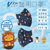 YSH益勝軒 兒童 5-7歲 醫療 3D立體口罩30入/盒-冰雪喵喵  單片包裝 台灣製 親子款 外出攜帶方便