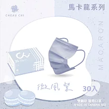 【巧奇】夏日馬卡龍系列 成人醫用口罩 30入/盒 微風紫