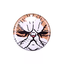 【GENERAL STICKER】不可思議的貓世界 徽章32mm ‧ 皺臉男