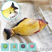 貓本屋 USB充電式 仿真電動魚 寵物絨毛玩具  鯉魚