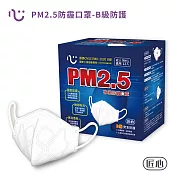 【匠心】PM2.5防霾口罩 B級防護(紅色警戒適用) L尺寸 (12入/盒)