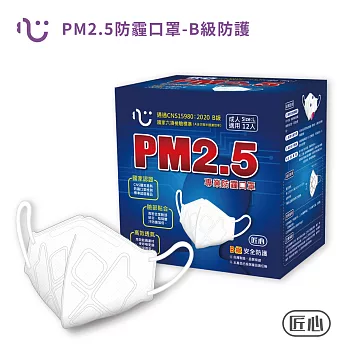 【匠心】PM2.5防霾口罩 B級防護(紅色警戒適用)  L尺寸 (12入/盒)