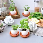 【環保ECO包裝】聖新陶芸 Eco Eggling 植物栽培蛋  /薄荷
