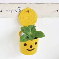 【聖新栽培專門店】smile&smile植栽/黃色-向日葵 向日葵