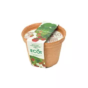 【聖新陶芸】ECOT 環保可分解植栽組-花果類  野草莓