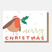 Caroline Gardner 英國進口環保聖誕小卡片 聖誕帽知更鳥