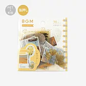 【BGM】散裝和紙/PET混合貼紙包30入 ‧ 寫真-黃色