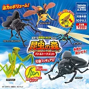 【日本正版授權】小全套3款 昆蟲的森林 戰鬥晉級篇 扭蛋/轉蛋 昆蟲模型/昆蟲之森 068775SP