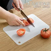 日本NAKAYA 雙面抗菌砧板 切菜板 mini切水果板